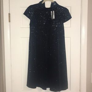NWT Chelsea & Theodore all over sparkle dress